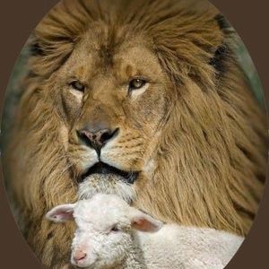 Meet your Posher, Yvette d